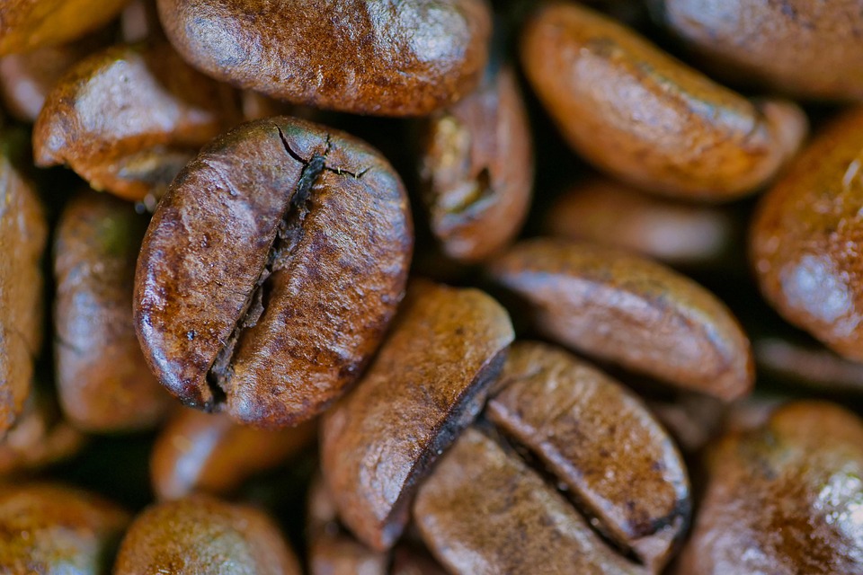 best coffee beans